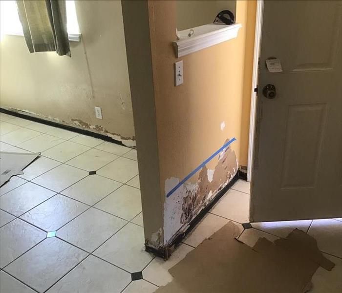 Pre-Mitigation Entry Wall Affected by Water Damage