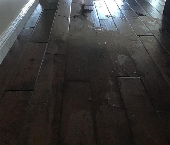 Flooring severely buckling from water damage