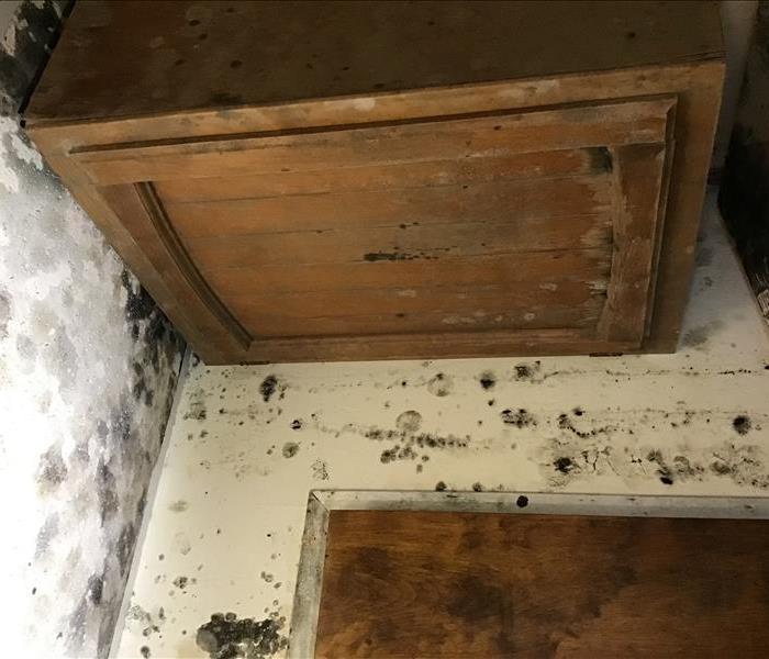 Mold contaminated bathroom