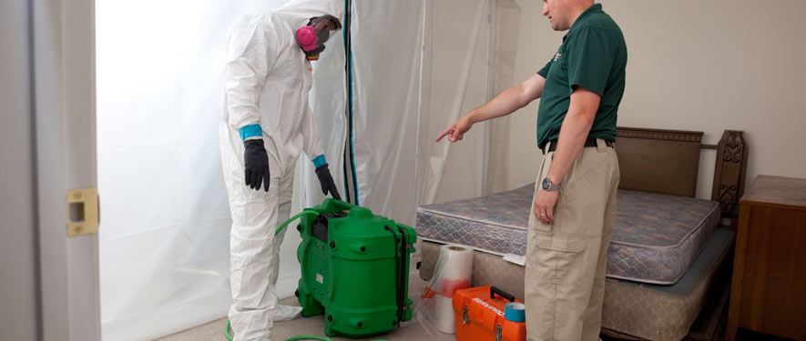 Santa Cruz, CA mold removal process